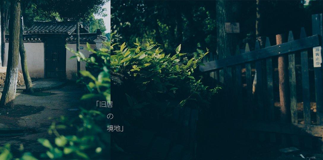 逗小猴开心系列164