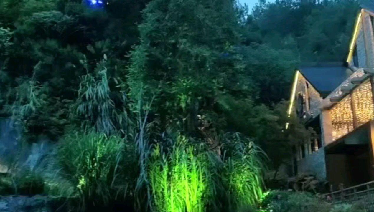 孩子在外地工作想劝回来怎么办?- 专业问答平台
